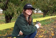 Πρόγραμμα νέων αγροτών