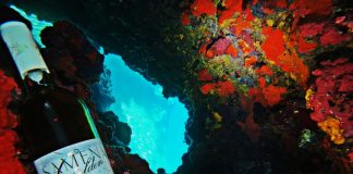 Φιάλες κρασιού ως… καταδυόμενες Αφροδίτες