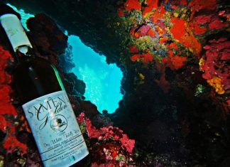 Φιάλες κρασιού ως… καταδυόμενες Αφροδίτες