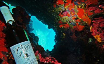 Φιάλες κρασιού ως… καταδυόμενες Αφροδίτες