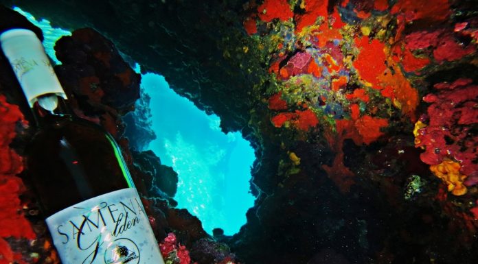 Φιάλες κρασιού ως… καταδυόμενες Αφροδίτες