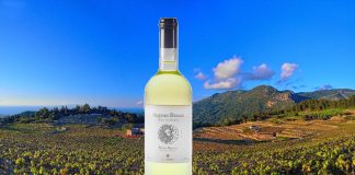 Aegean Breeze: Το «διαμάντι» του ΕΟΣ Σάμου.