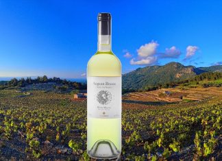 Aegean Breeze: Το «διαμάντι» του ΕΟΣ Σάμου.