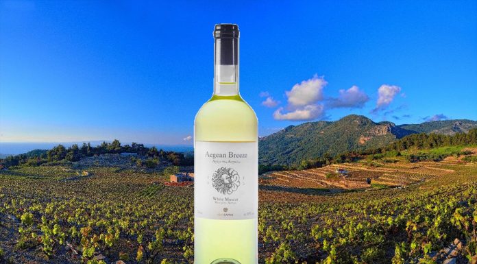 Aegean Breeze: Το «διαμάντι» του ΕΟΣ Σάμου.