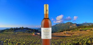 Samos Anthemis: ΠΗΡΕ ΤΟ ΧΡΥΣΟ ΑΝΑΜΕΣΑ ΣΕ 278!