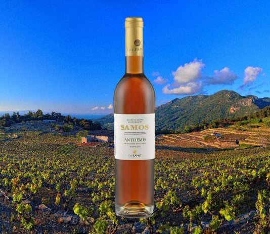 Samos Anthemis: ΠΗΡΕ ΤΟ ΧΡΥΣΟ ΑΝΑΜΕΣΑ ΣΕ 278!