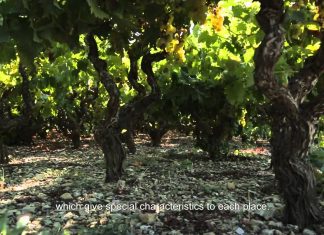 ETAIΡΙΚΗ ΠΑΡΟΥΣΙΑΣΗ του ΕΟΣ Σάμου 2015