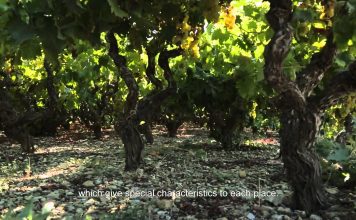 ETAIΡΙΚΗ ΠΑΡΟΥΣΙΑΣΗ του ΕΟΣ Σάμου 2015