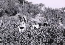 ΣΤΙΓΜΕΣ ΤΟΥ ΠΑΡΕΛΘΟΝΤΟΣ