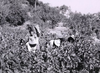 ΣΤΙΓΜΕΣ ΤΟΥ ΠΑΡΕΛΘΟΝΤΟΣ