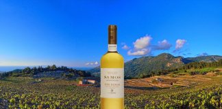 SAMOS VIN DOUX: «Δικό μας» και… μοναδικό!