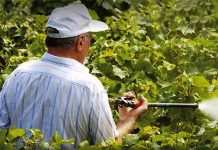 ΟΡΘΟΛΟΓΙΚΗ ΧΡΗΣΗ ΓΕΩΡΓΙΚΩΝ ΦΑΡΜΑΚΩΝ