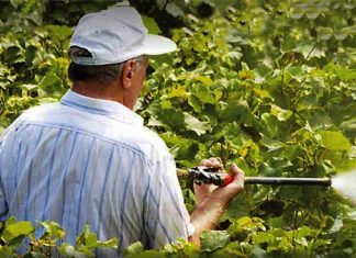 ΟΡΘΟΛΟΓΙΚΗ ΧΡΗΣΗ ΓΕΩΡΓΙΚΩΝ ΦΑΡΜΑΚΩΝ