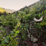 Νέο LEADER για τη Σάμο;