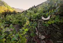 Νέο LEADER για τη Σάμο;