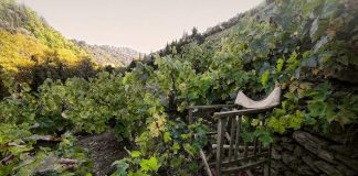 Νέο LEADER για τη Σάμο;