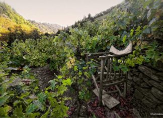 Νέο LEADER για τη Σάμο;