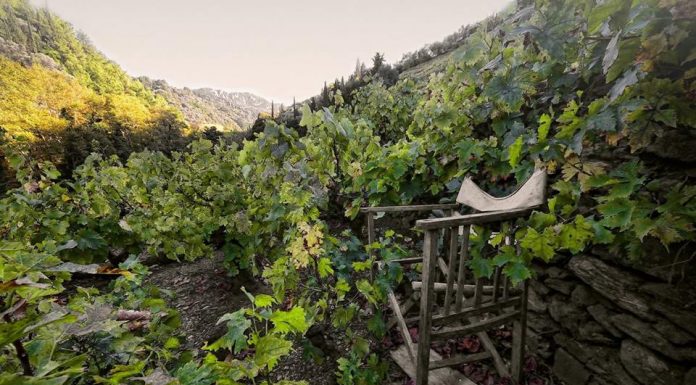 Νέο LEADER για τη Σάμο;