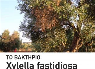 ΕΝΔΙΑΦΕΡΟΥΣΑ ΗΜΕΡΙΔΑ ΓΙΑ ΚΑΛΛΙΕΡΓΗΤΕΣ