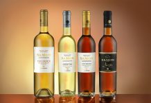 Ολόκληρη η γκάμα των κρασιών του ΕΟΣ Σάμου, να την πιείς στο ποτήρι!