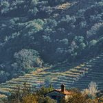 Ακόμη μια σελίδα ιστορίας…