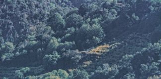 Ακόμη μια σελίδα ιστορίας…