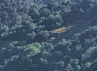 Ακόμη μια σελίδα ιστορίας…