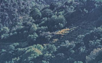 Ακόμη μια σελίδα ιστορίας…