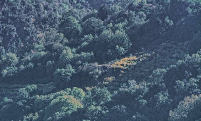 Ακόμη μια σελίδα ιστορίας…