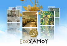 ΟΙ ΕΚΛΕΓΜΕΝΟΙ ΓΙΑ ΤΟ ΝΕΟ Δ.Σ ΤΟΥ Ε.Ο.Σ ΣΑΜΟΥ