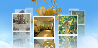 ΠΡΟΚΗΡΥΞΗ ΔΙΑΓΩΝΙΣΜΟΥ για ΑΝΑΔΕΙΞΗ ΦΟΡΕΑ εκτέλεσης δράσεων σε ΕΛΒΕΤΙΑ & ΣΕΡΒΙΑ