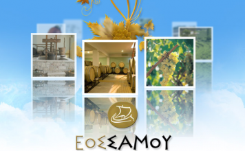 ΟΙ ΕΚΛΕΓΜΕΝΟΙ ΓΙΑ ΤΟ ΝΕΟ Δ.Σ ΤΟΥ Ε.Ο.Σ ΣΑΜΟΥ