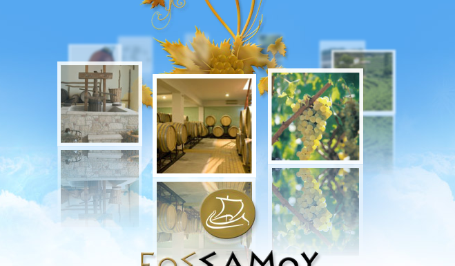 Ανακοίνωση για παραλαβή δελτίων παράδοσης σταφυλιών 2021