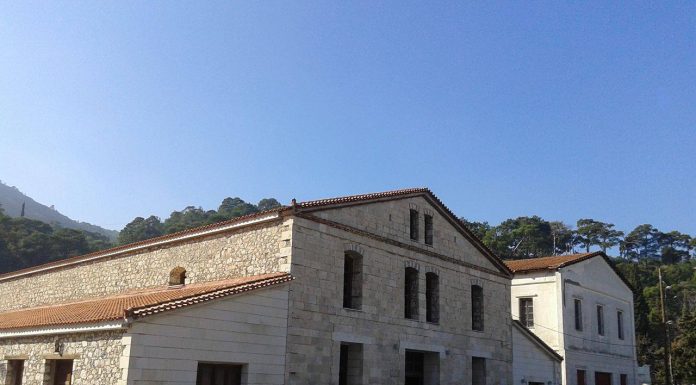 Μεγάλη προσέλευση οινοκαλλιεργητών στις εκλογές Ε.Ο.Σ.Σ