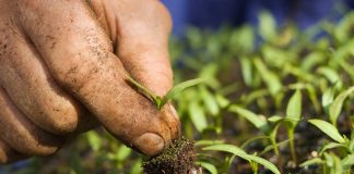 ΠΡΟΚΗΡΥΞΗ ΤΩΝ ΕΝΙΣΧΥΣΕΩΝ ΤΗΣ ΒΙΟΛΟΓΙΚΗΣ ΓΕΩΡΓΙΑΣ