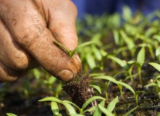 ΠΡΟΚΗΡΥΞΗ ΤΩΝ ΕΝΙΣΧΥΣΕΩΝ ΤΗΣ ΒΙΟΛΟΓΙΚΗΣ ΓΕΩΡΓΙΑΣ