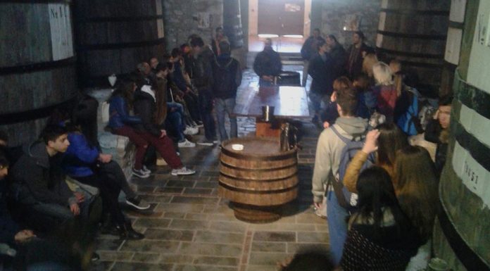Μαθητικές απορίες στο Μουσείο Οίνου