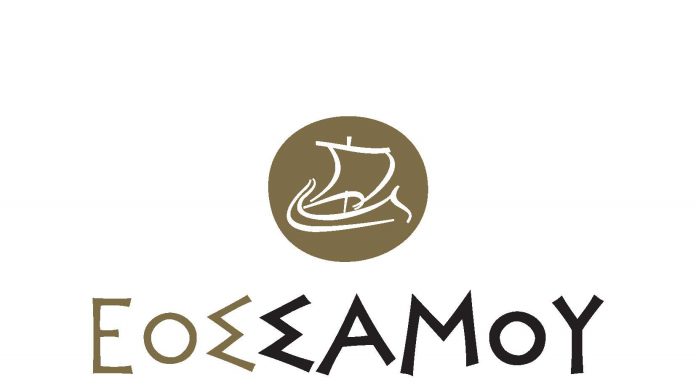 Διαθέσιμες οι βεβαιώσεις εσόδων 2019