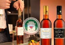 Τα ΠΡΩΤΑ ΒΡΑΒΕΙΑ του 2017