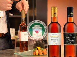 Τα ΠΡΩΤΑ ΒΡΑΒΕΙΑ του 2017