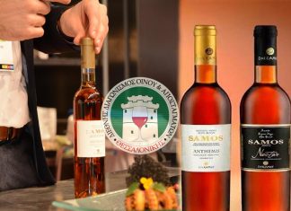 Τα ΠΡΩΤΑ ΒΡΑΒΕΙΑ του 2017