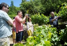 «Aκαδημία Μεταξά» στις ορεινές αναβαθμίδες και τη φρουτώδη ανάσα της Σάμου.