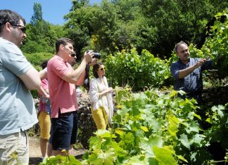 «Aκαδημία Μεταξά» στις ορεινές αναβαθμίδες και τη φρουτώδη ανάσα της Σάμου.