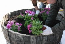 O ΕΟΣ Σάμου «άνθισε» στα πλαίσια του Let’s do it