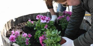 O ΕΟΣ Σάμου «άνθισε» στα πλαίσια του Let’s do it