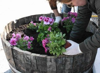 O ΕΟΣ Σάμου «άνθισε» στα πλαίσια του Let’s do it