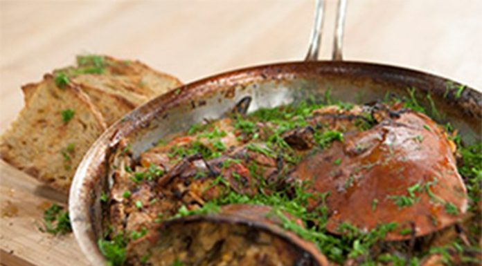 KΑΒΟΥΡΙ ΓΙΑΧΝΙ ΜΕ ΜΟΣΧΑΤΟ AEGEAN BREEZE ΗΜΙΞΗΡΟ ΣΑΜΟΥ