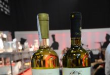 «Κύμα» Πολιτισμού και Σαμιώτικο Κρασί στο 3ο Φεστιβάλ Σάμου 2017