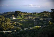 Ρώγα τη ρώγα, σφίγγει το σταφύλι…