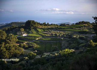 Ρώγα τη ρώγα, σφίγγει το σταφύλι…